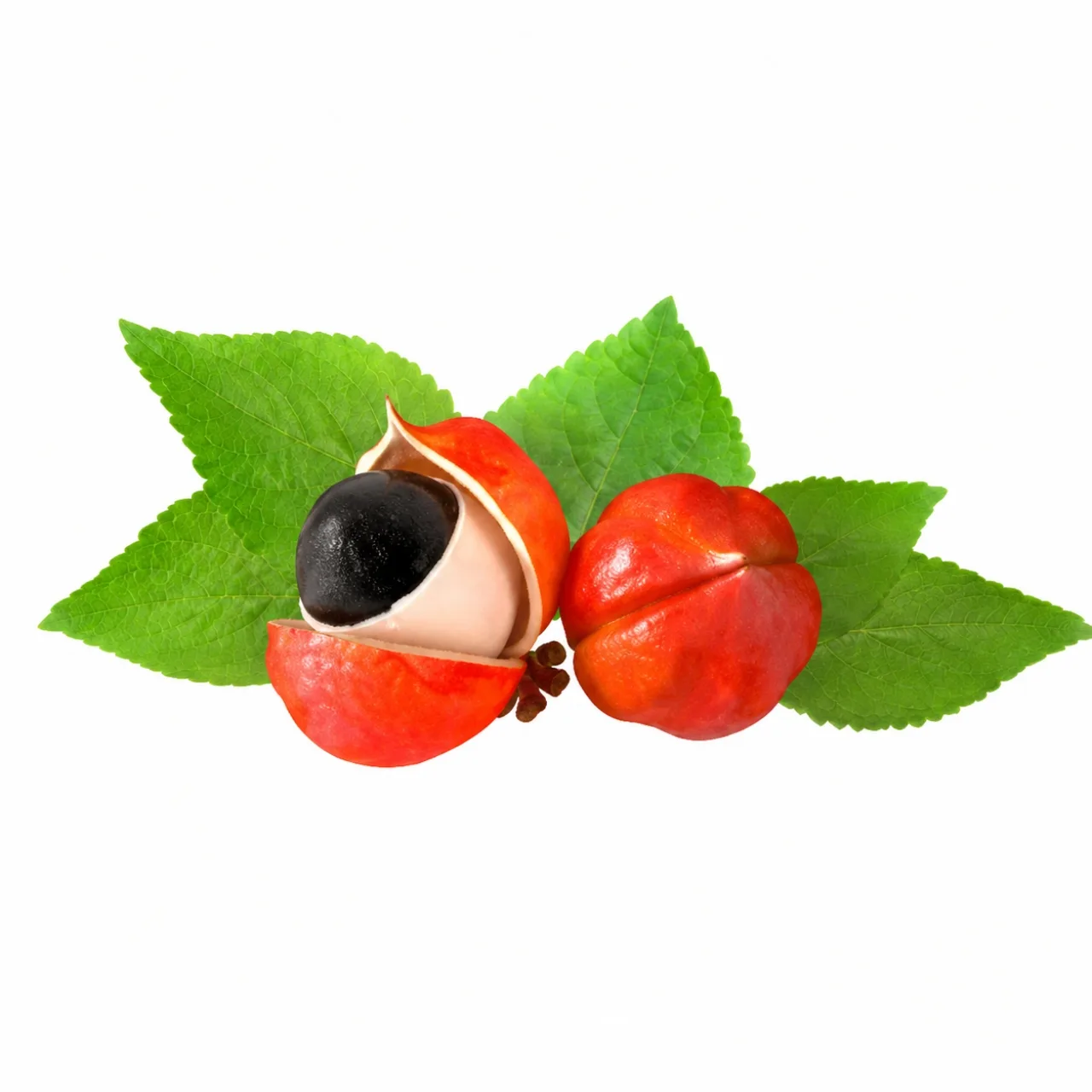 Guarana