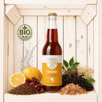 Seshoai Organic Rooibos Eistee 1 Stk.
